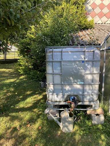 Jak využít dešťovou vodu a ušetřit za zalévání