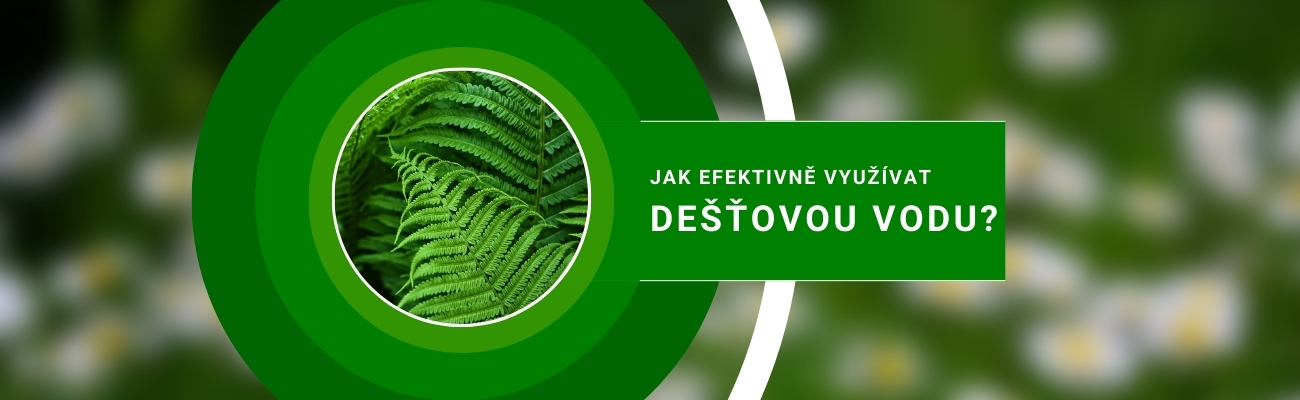 Jak efektivně využívat dešťovou vodu?